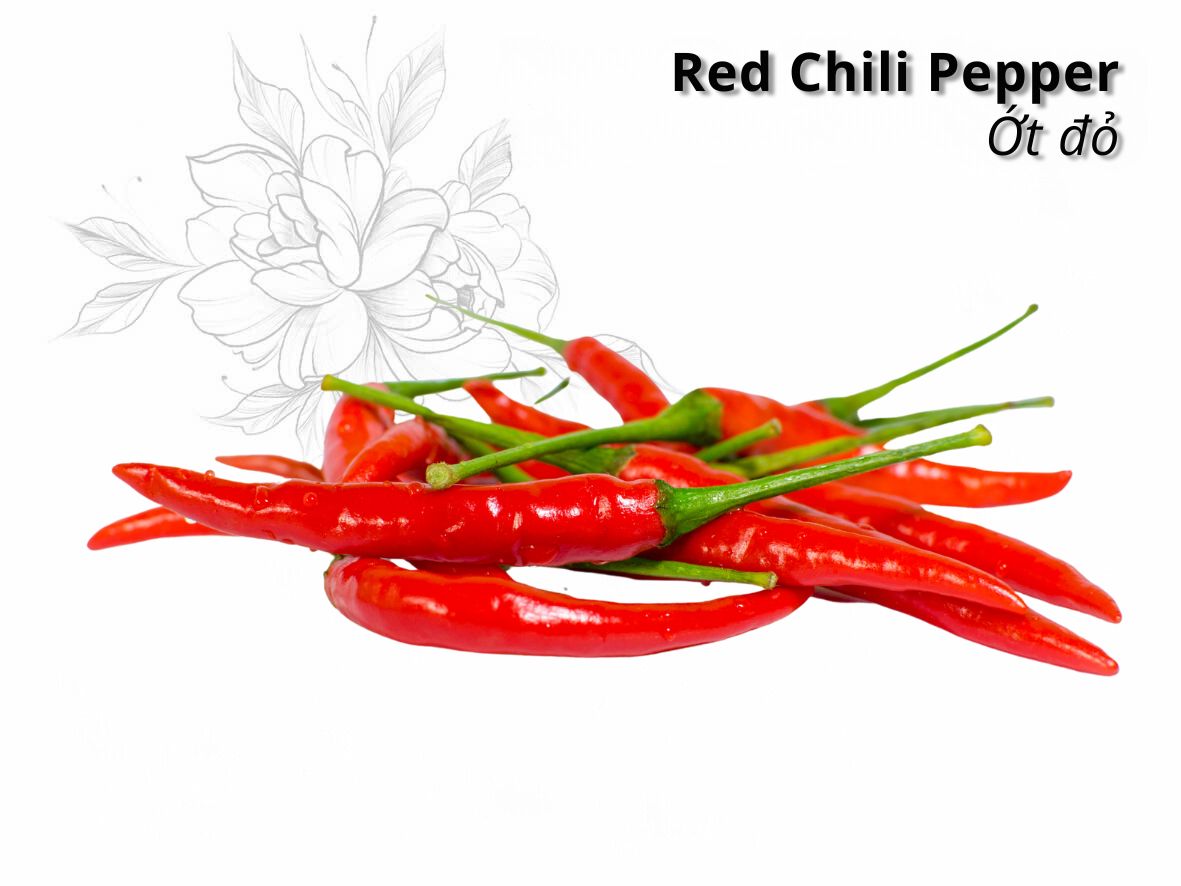 Vietnamese Red Chili Pepper Fresh and Dried for export