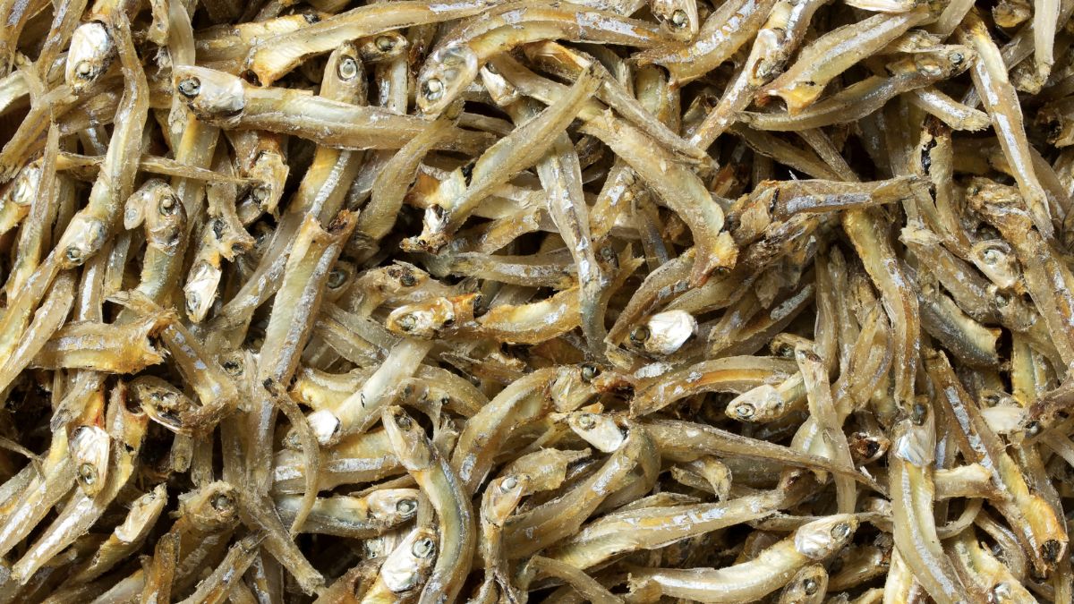Vietnamese Dried Anchovies Ca Com for export