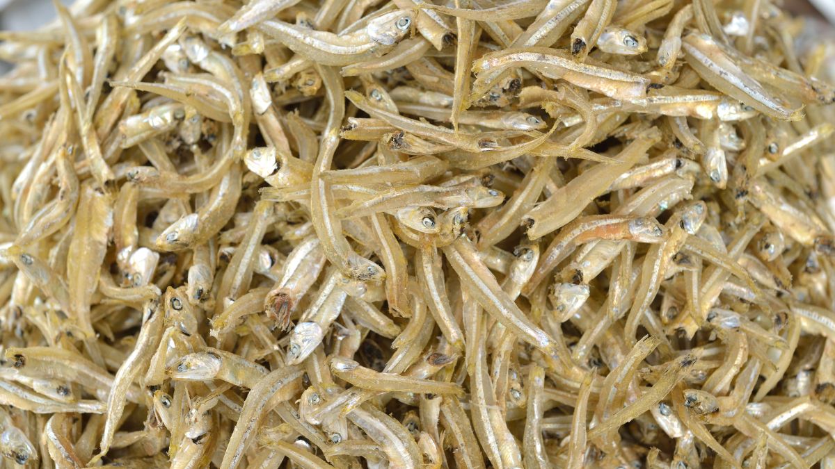 Dried anchovies health benefits and export guide