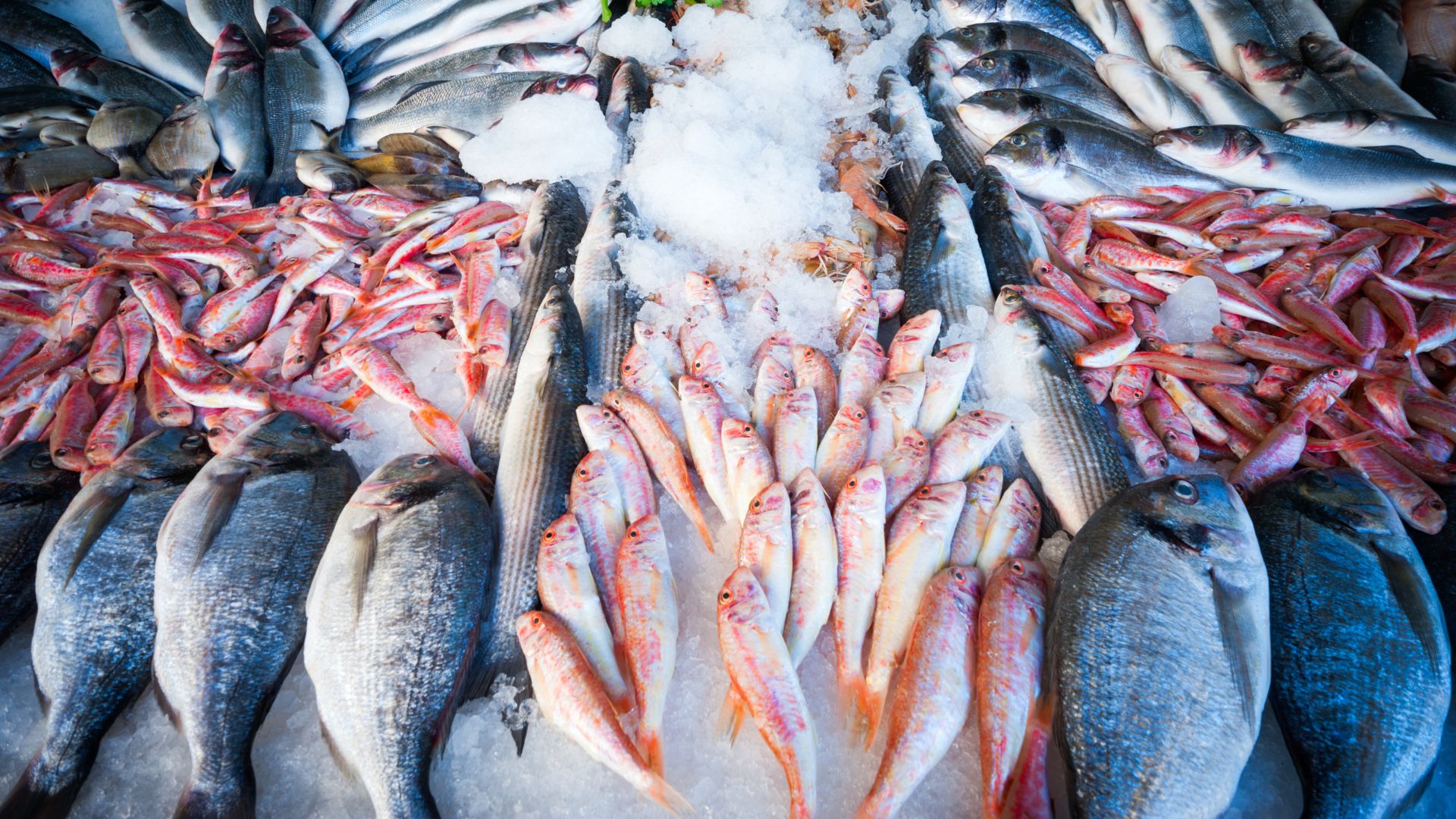 Global seafood market trends 2025
