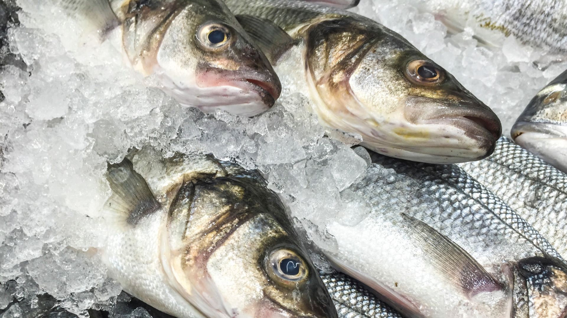 Vietnam seafood export guide for B2B importers
