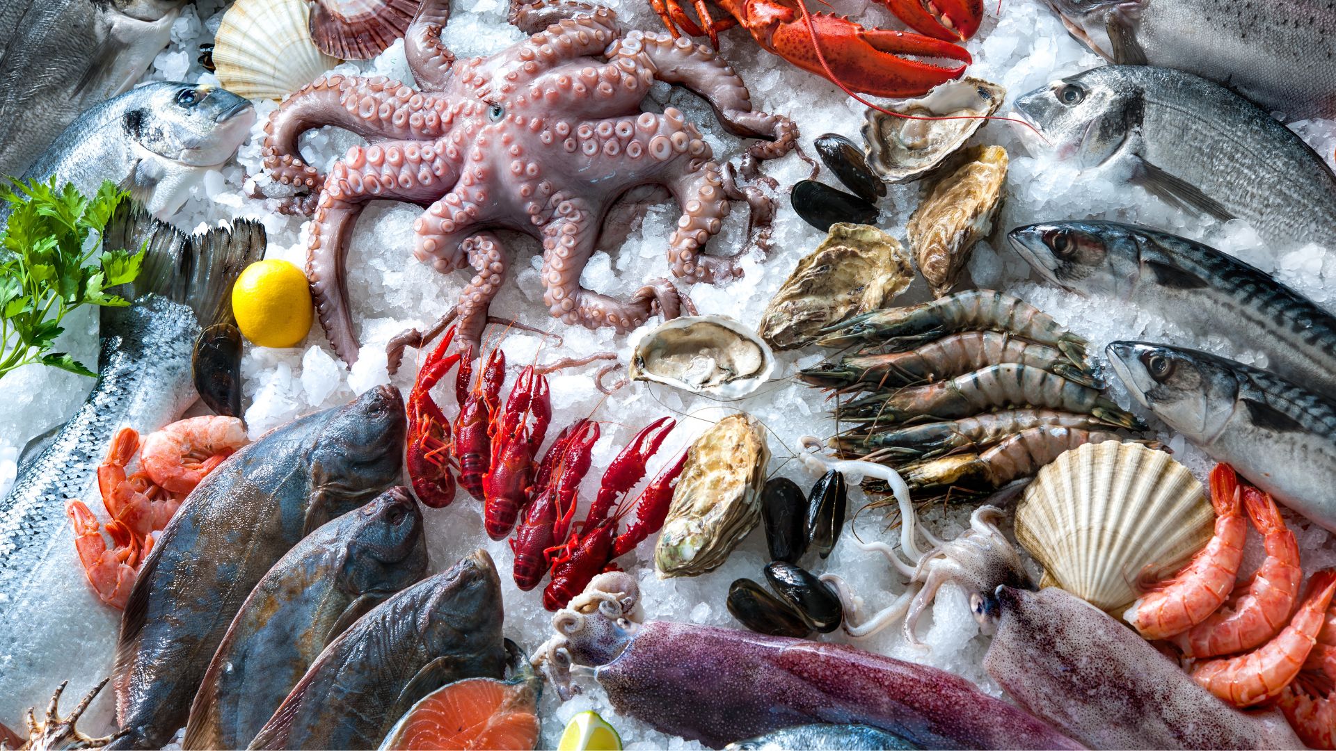 IQF Black Tiger Shrimp HOSO for export